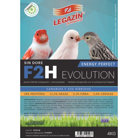 F2H Energy Perfect Evolution
