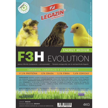 F3H Energy Medium Evolution